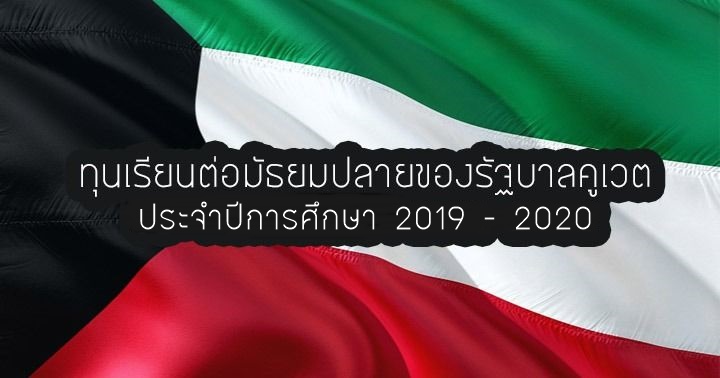 49019 500x500 1521432663