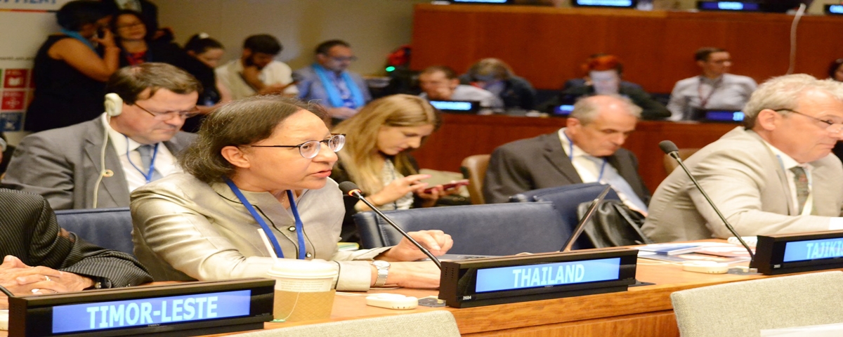 HLPF 2019 11 7 2562