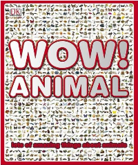 wow_animal